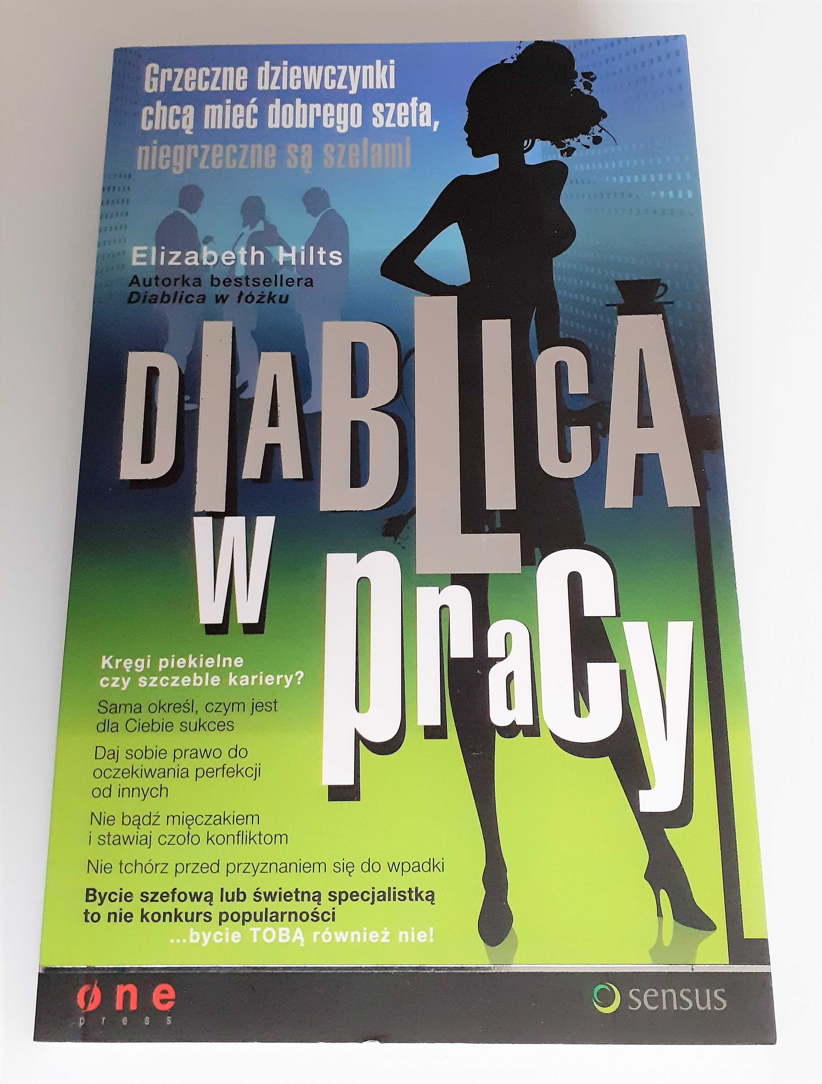 Diablica w pracy - Elizabeth Hilts