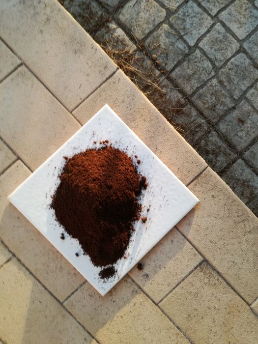 Borras de Café bem Secas - Estrume biológico - Preço do KG