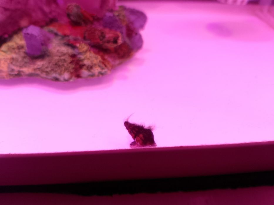 Akwarium na sprzedasz wszystko co na zdj w bardzo dobrym stanie jak no