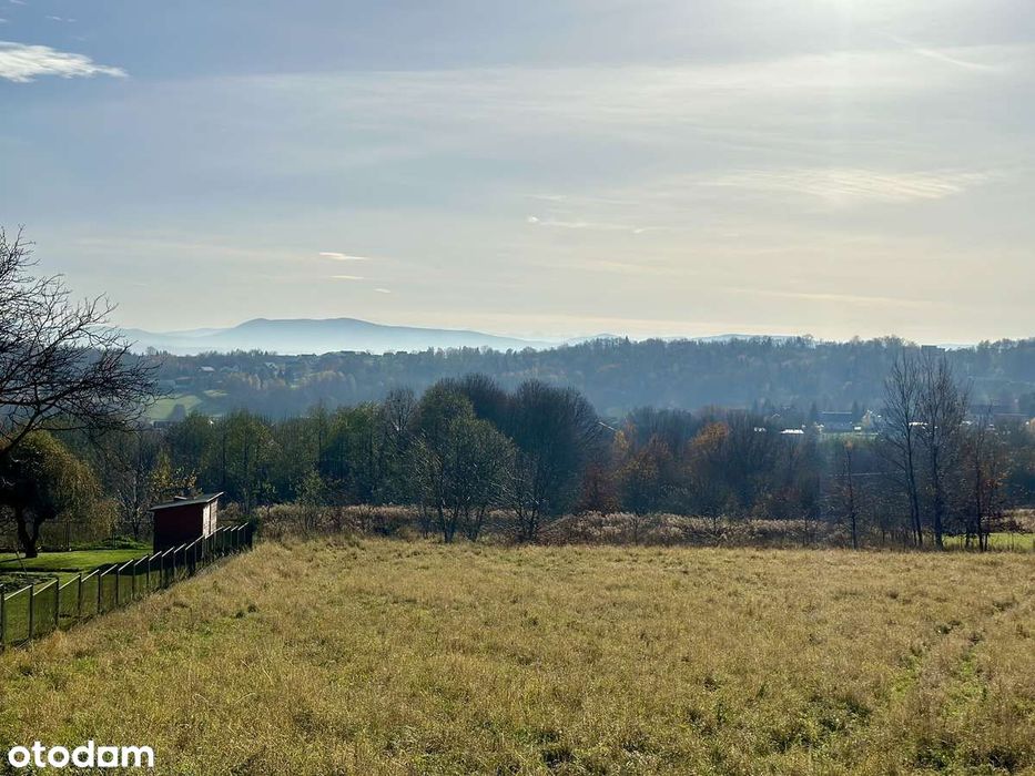 Działka widokowa pod miastem w otulinie lasu