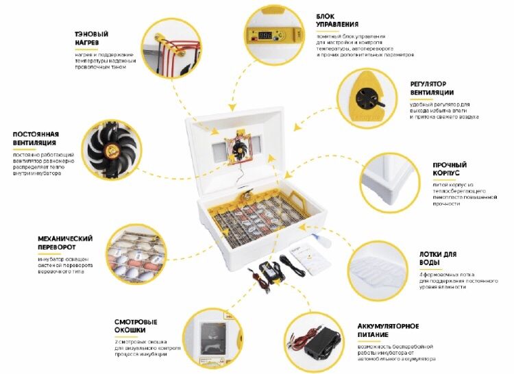 Инкубатор автоматический Инверторный Теплуша Люкс 72 ИБ 12/50ТАВ( 12В)