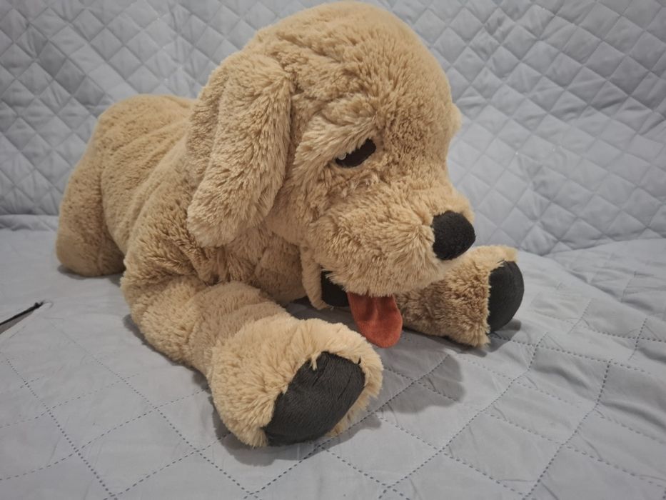 Cão peluche Cosig Golden 70cm