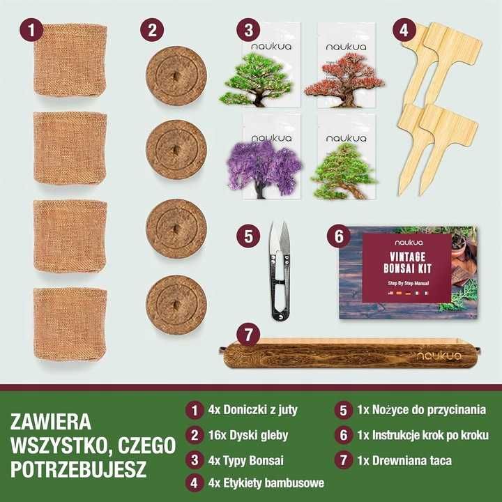 Zestaw Startowy Uprawy Bonsai Domu Początkujących 4 Rodzaje Akcesoria