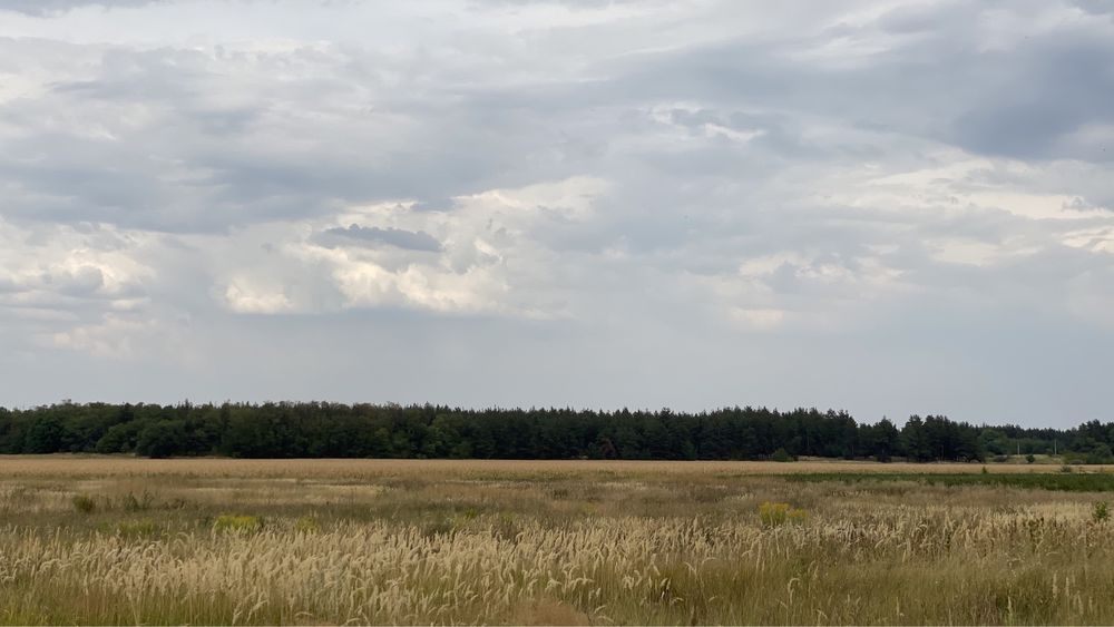 Продаётся приватизированный участок в Куриловке