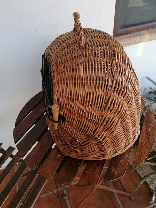 Transportadora para animais