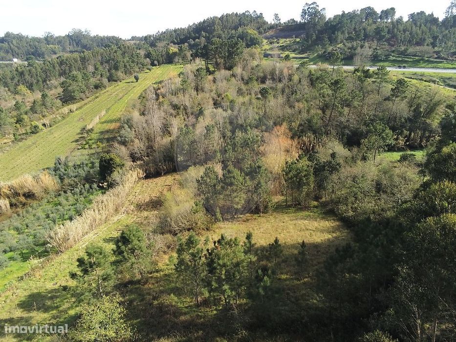 Terreno  para venda