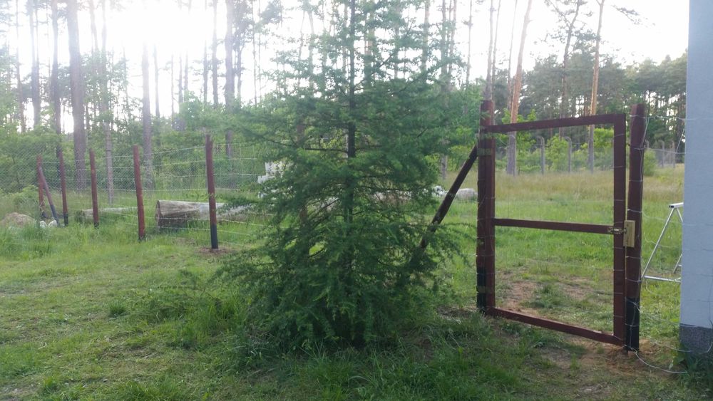 stemple, słupki, kołki, ogrodzenie tymczasowe budowlane