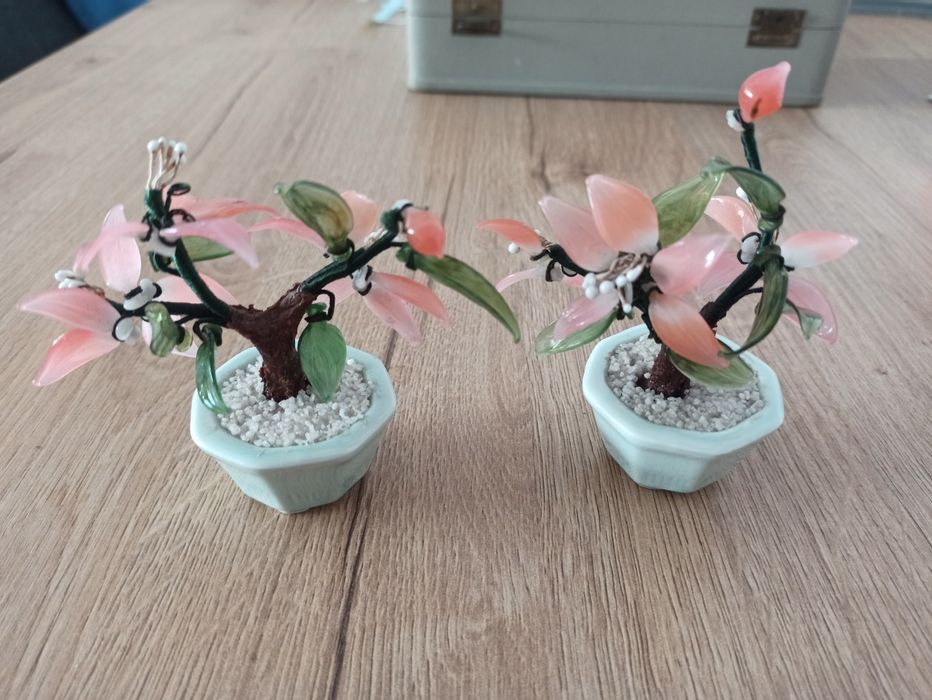 Jadeitowe drzewka bonsai