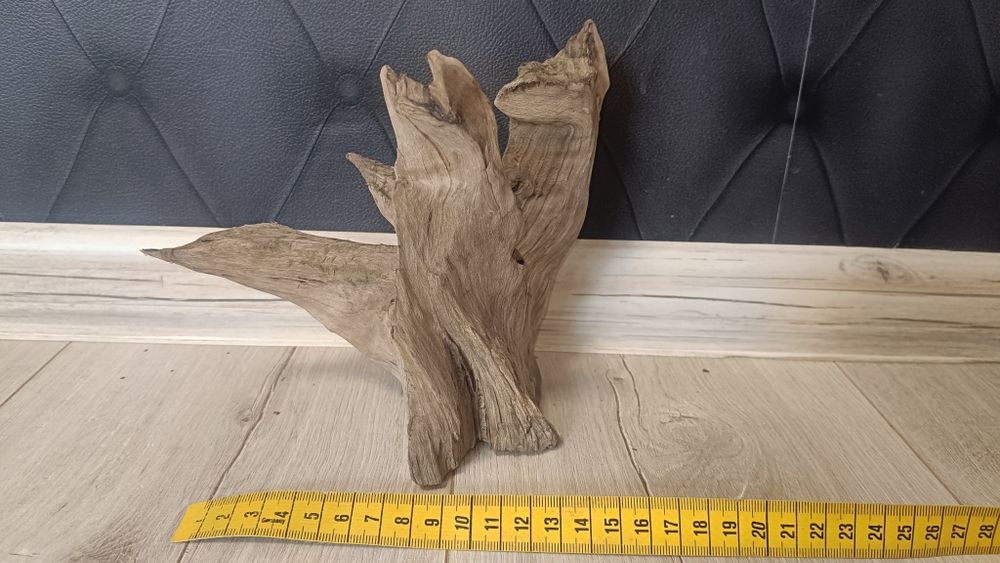 Korzeń Akwarystyczny