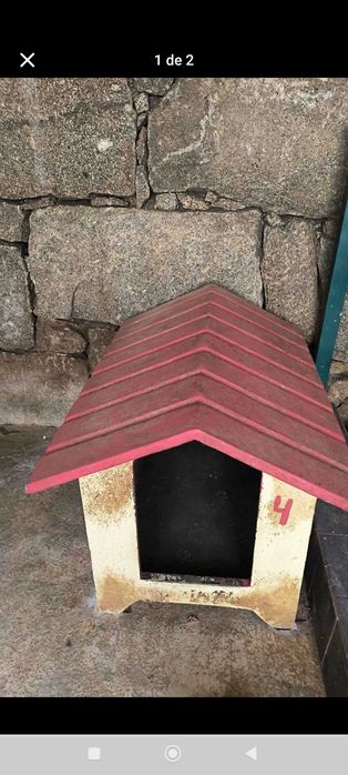 Casotas de cimento para caes