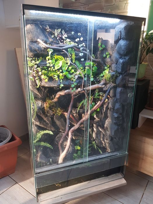 Terrarium 60x40x100cm