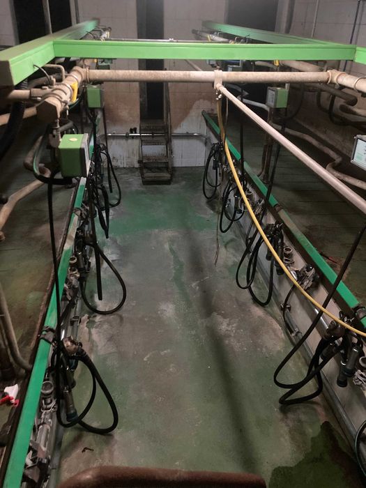 Hala udojowa 4x2 rybia ość orginał pierwszy właściciel