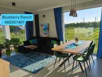 BLUEBERRY RANCH Agroturystyka Pokoje [Obiekt całoroczny]