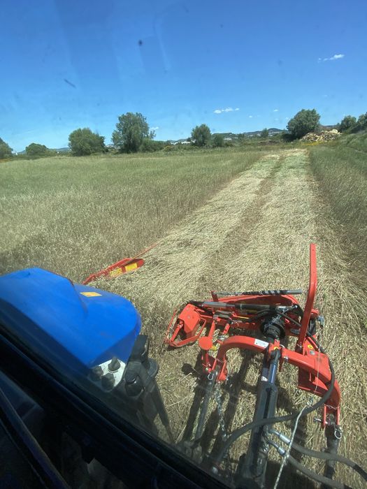 Feno da campanha 2025