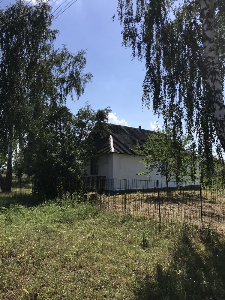 Продається будинок  в Житомирській області