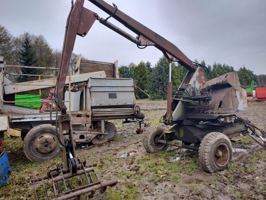 Sprzedam cyklop polski..Trasport