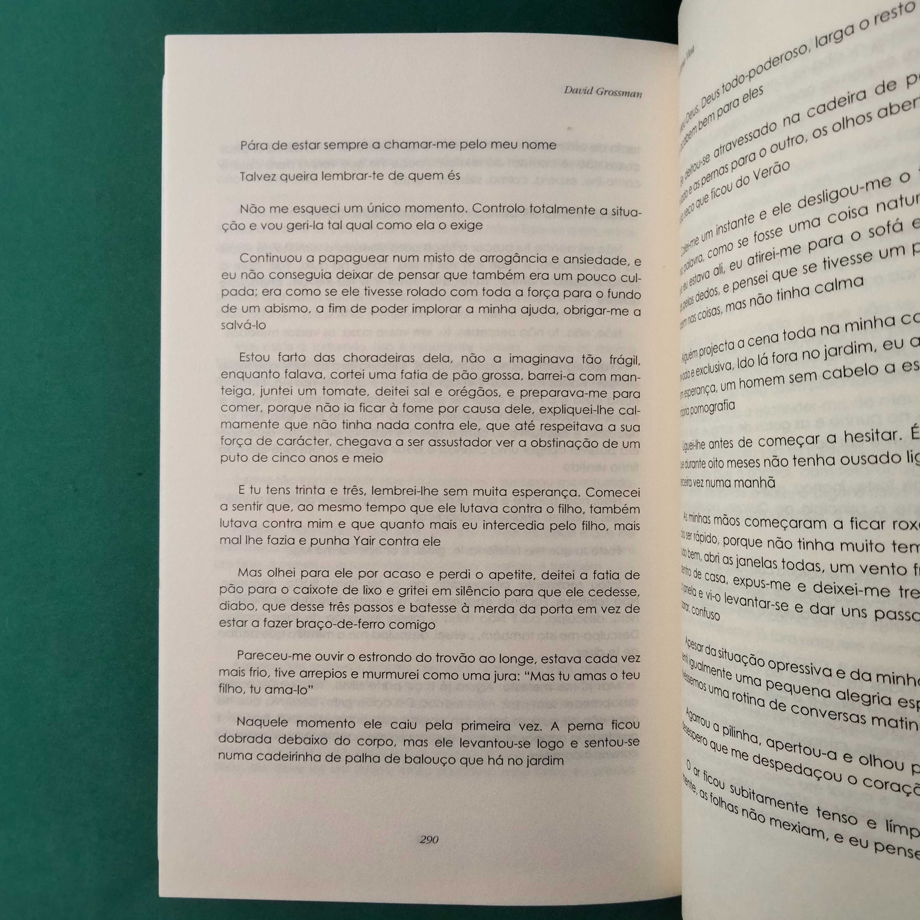 Em Carne Viva - David Grossman