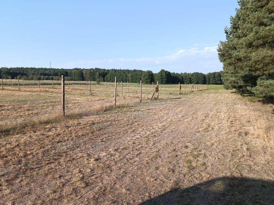 Sprzedam działkę - 1758mkw  - Puszcza Notecka