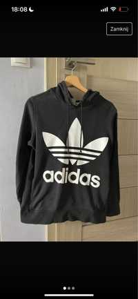 Czadna Bluza Adidas