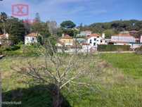 Andar de Moradia e Terreno