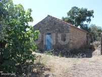 Quintinha com 11000m2 para Venda na Lousa, Castelo Branco