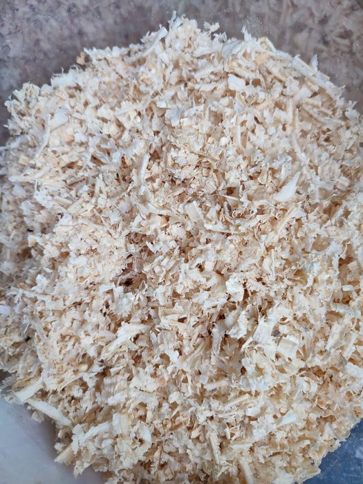 Trociny dla królików/do kurnika/pod hortensje