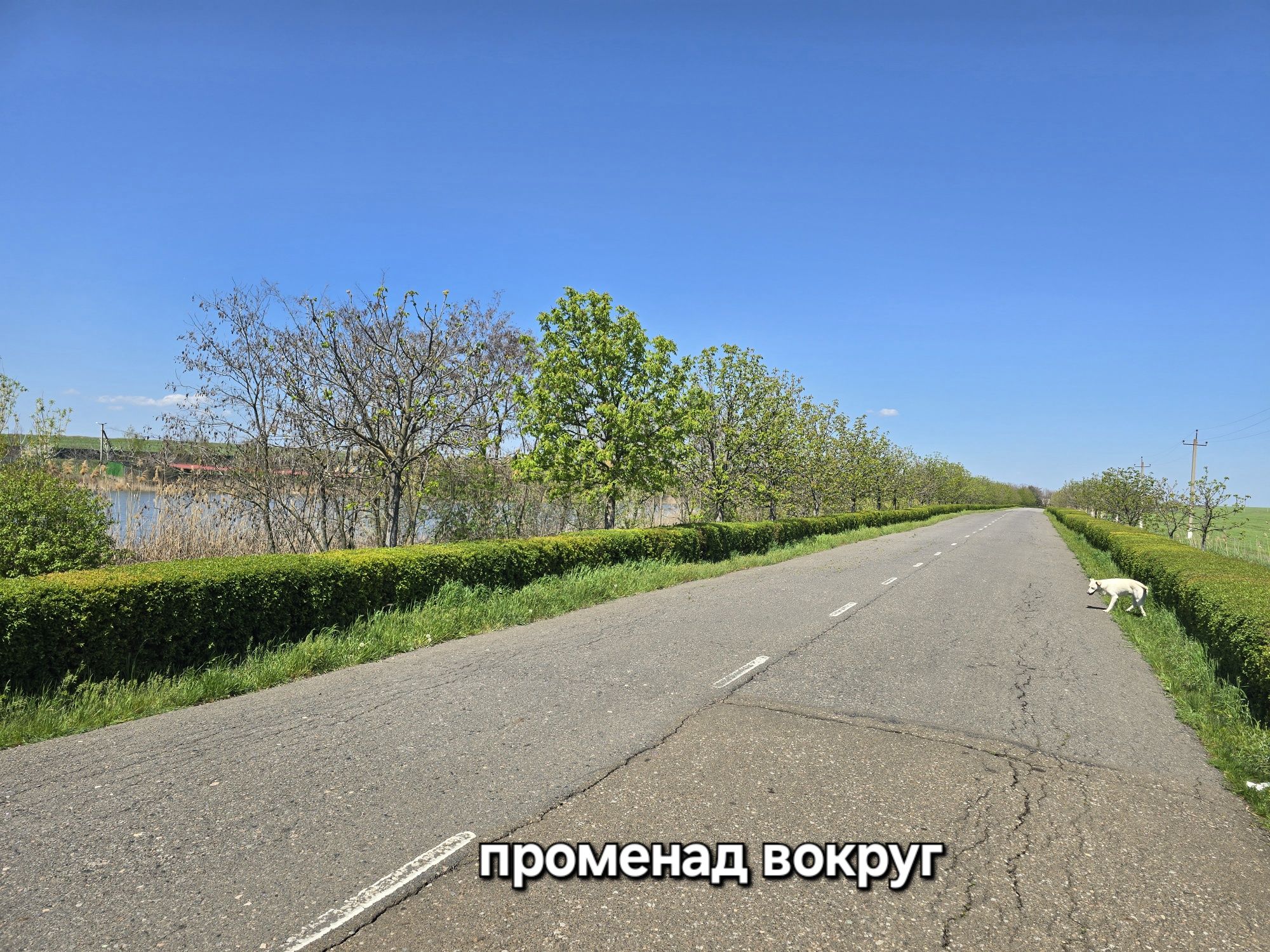 0%.Рассрочка на 2года по 560уе в мес , есть видео, вацапте
