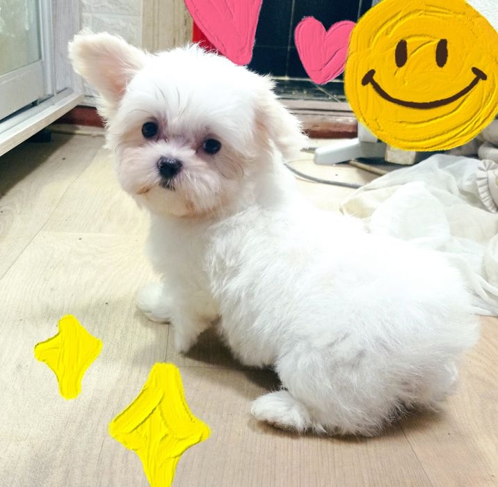 Мальчик ждет невесту