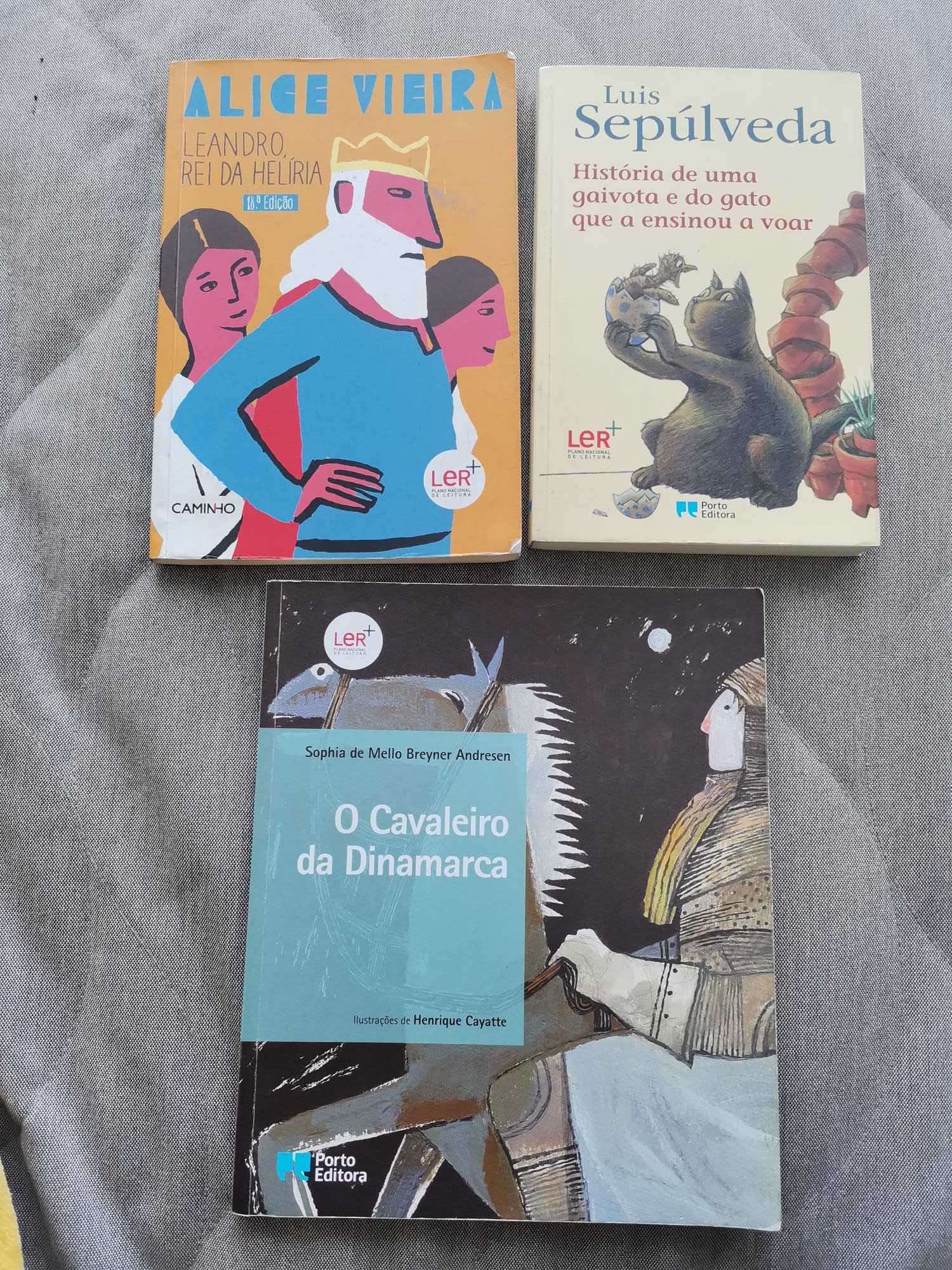 Literatura / Livro Juvenil - Plano Nacional de leitura (7º ano)