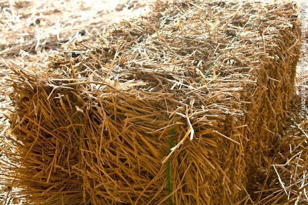 Продам солому в тюках (самовивіз)