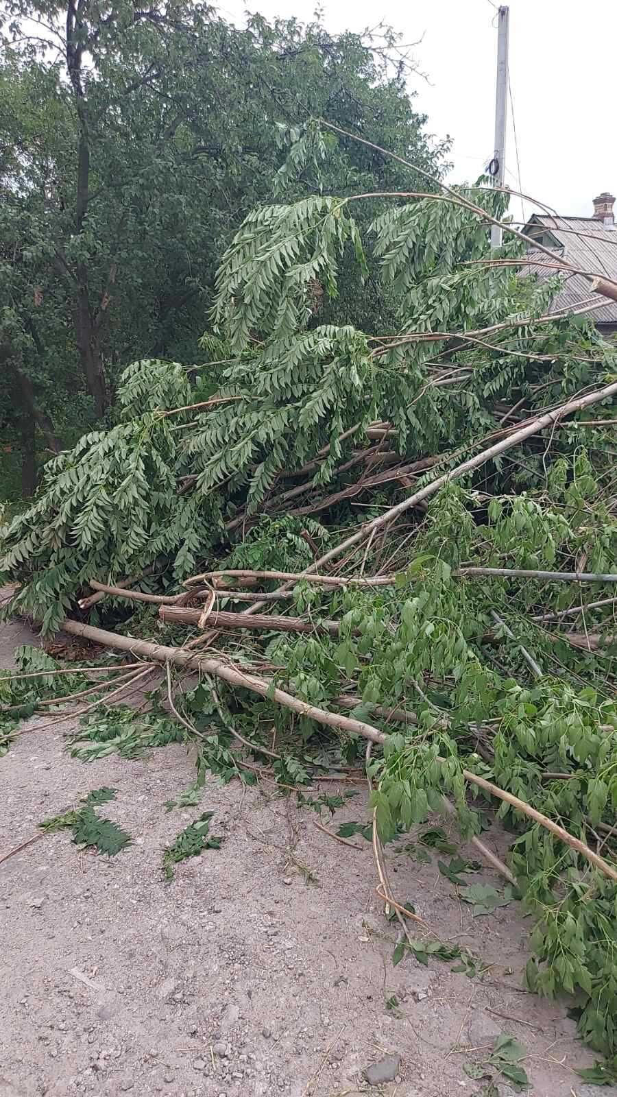 Прибирання  Розчищення ділянок та територій Спилювання дерев