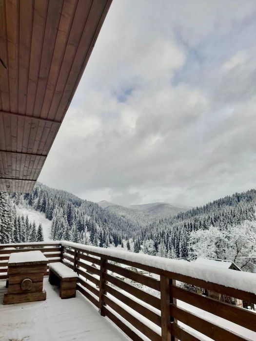 Оренда будинку Яблуниця Буковель