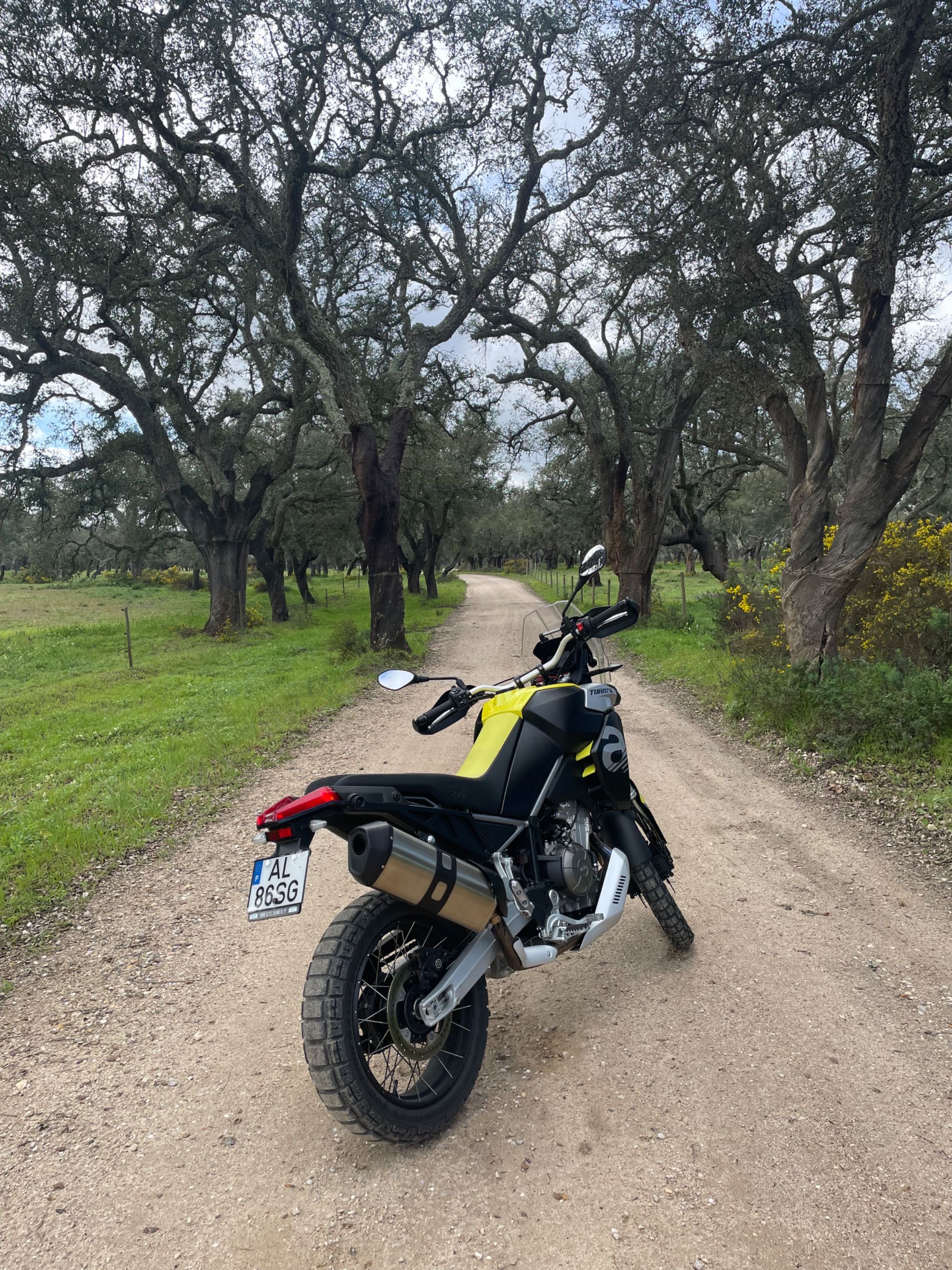 Aprilia Tuareg 660