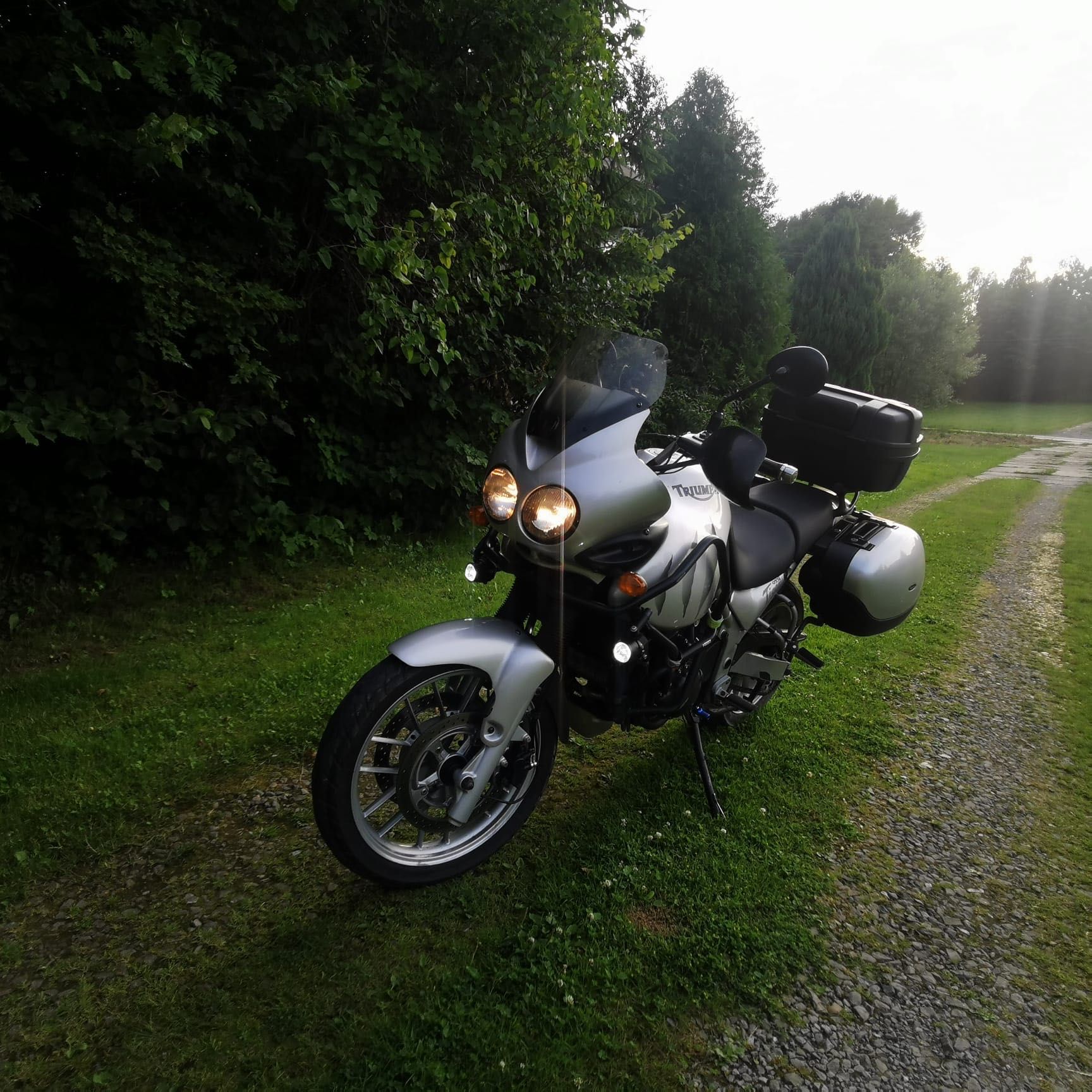 Triumph Tiger 955I