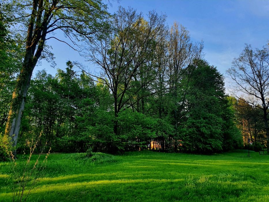 Działka Rydzynki Tuszyn obok Zofiówka 1500 metrów NOWA 1