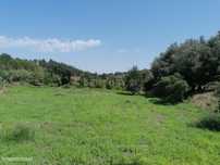 Terreno nas Limeiras com possibilidade de Construção