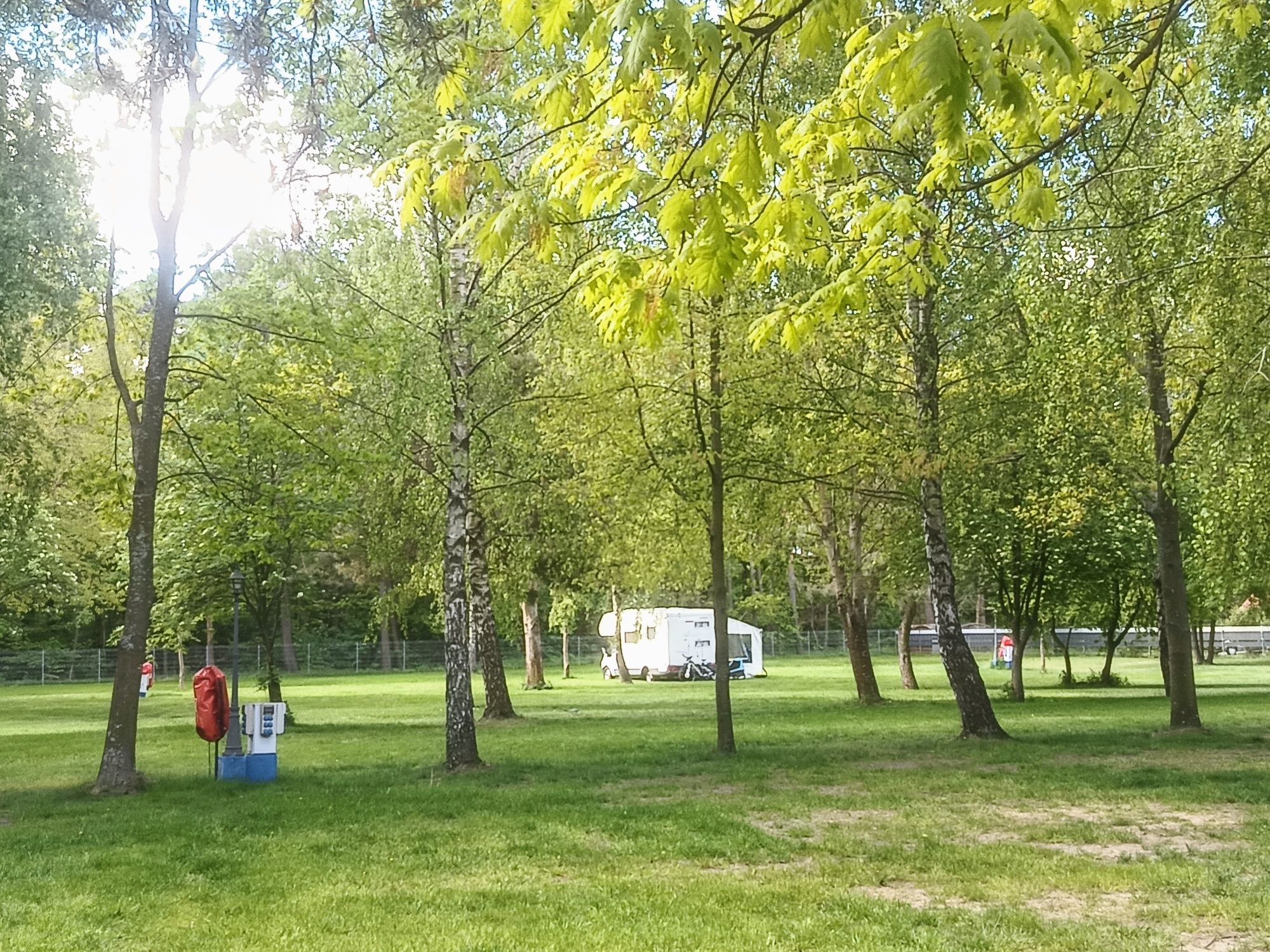 JANTAR -Pole namiotowe" Młody Delfin "