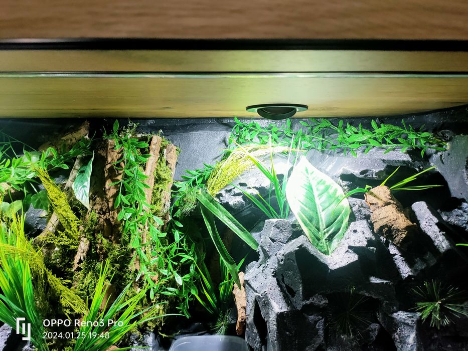 Terrarium 120x60x60 dla węża, jaszczurki,,agamy,gekona