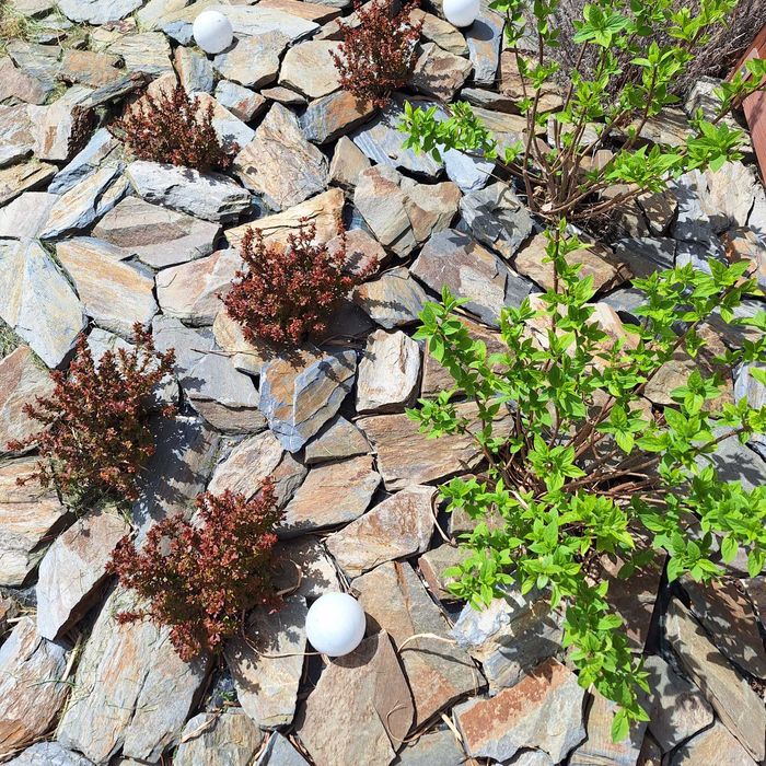 Łupek szarogłazowy lub gnejs na skalniak murek oporowy kamień murowy