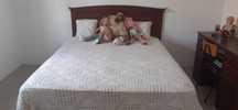 Cama de casal em madeira