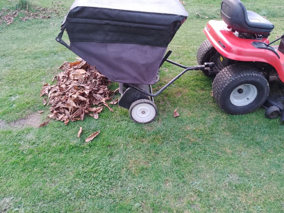 Zamiatarka szczotka do liści i trawy