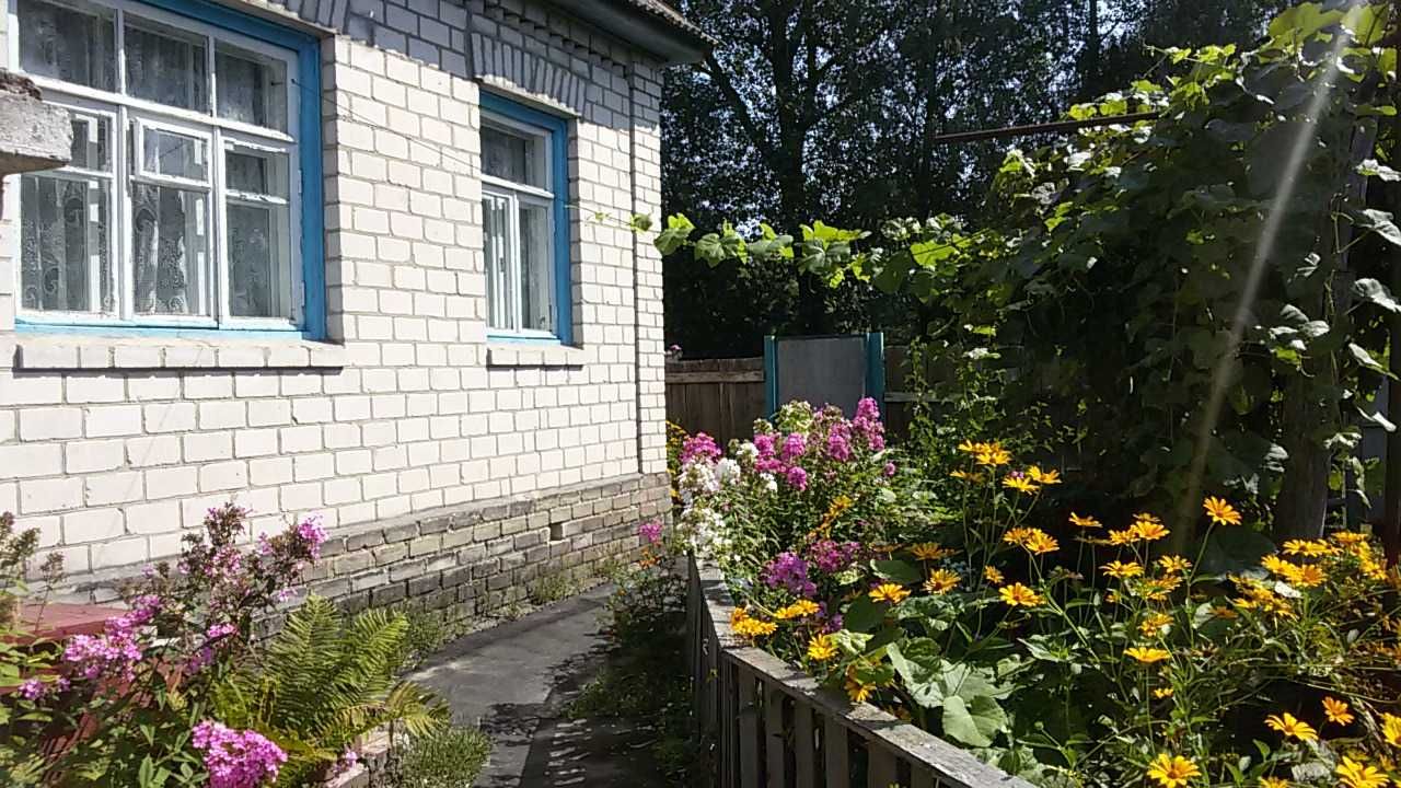 Продаю 2 будинки на одній ділянці в м. Остер