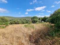Terreno urbano com projeto para moradia unifamiliar em Clareanes - ...