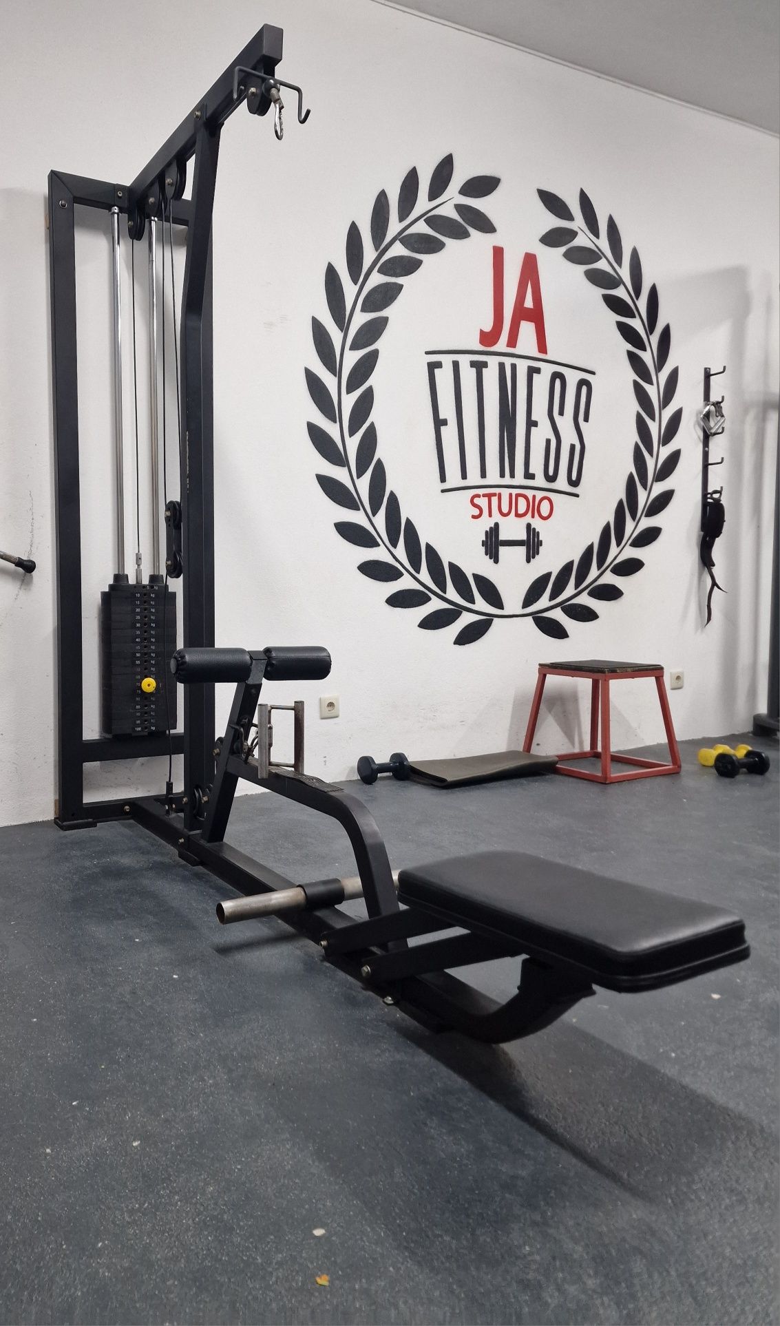 Puxador dorsal vertical e horizontal (dual) / Lat Pulldown & Low Row