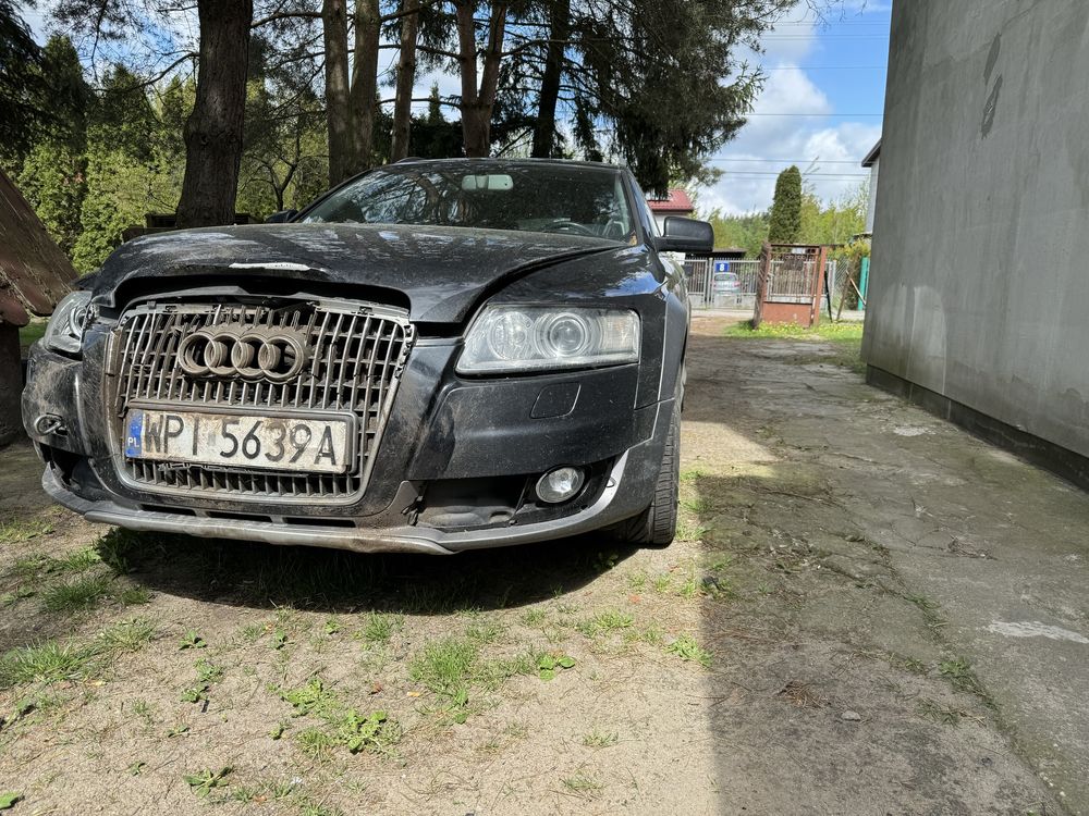 Audi po kolozji z dzikiem