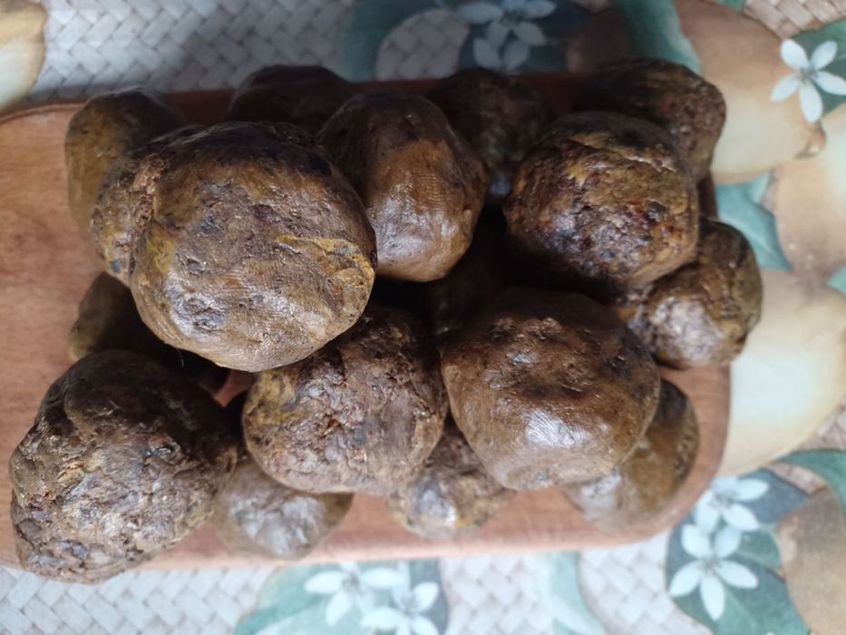 Прополіс бджолиний