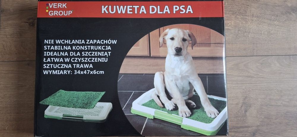 Kuweta dla psa do nauki