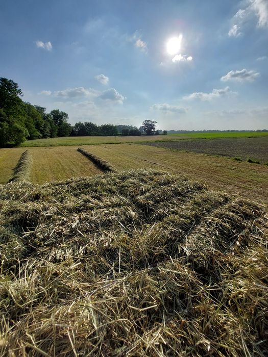 Siano kostki pierwszy i drugi pokos 2025