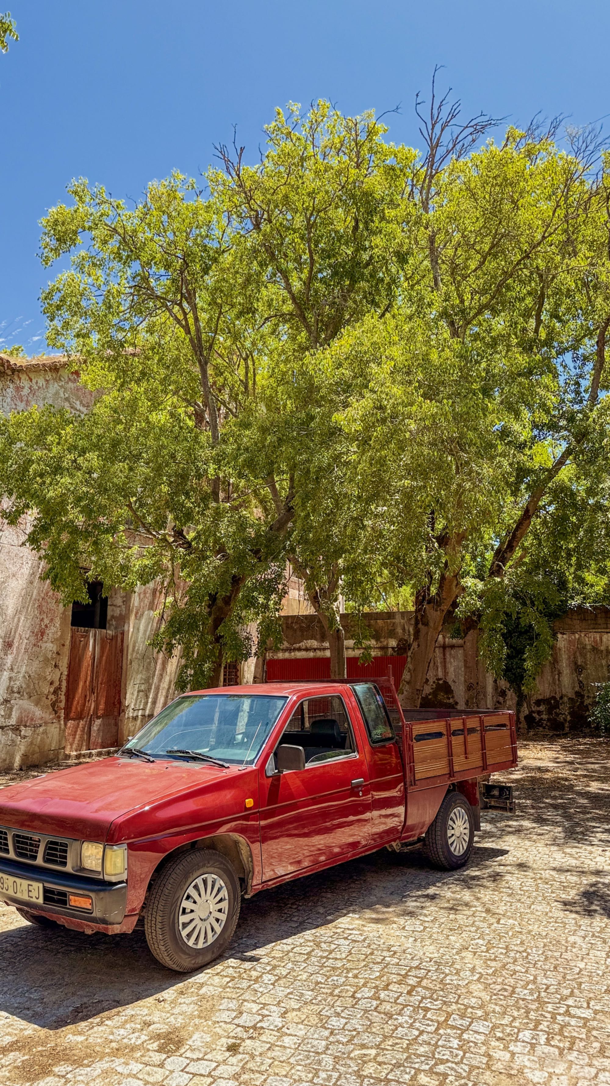 Nissan D21 c/ direção assistida 94/11