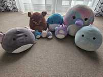 Maskotki Squishmallows